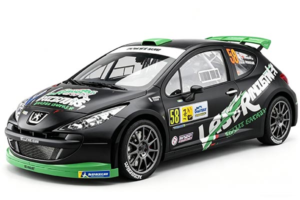 2013 Peugeot 207 S2000 NO.58 Diecast Car Model 1:18 Scale Black